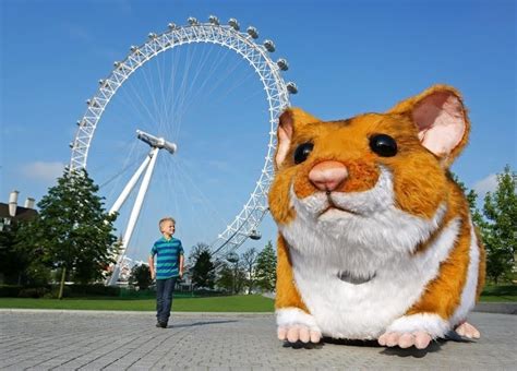 hamster london online